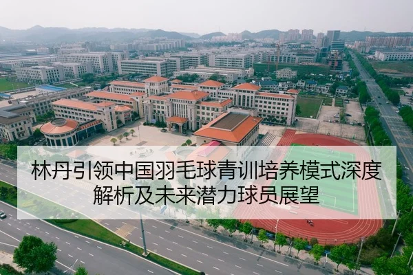 林丹引领中国羽毛球青训培养模式深度解析及未来潜力球员展望